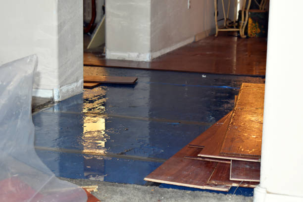 Professional Emergency Water Removal technician working in Leopolis, WI